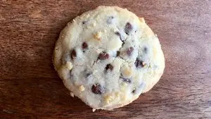 avtv club picture (300 pixels wide)